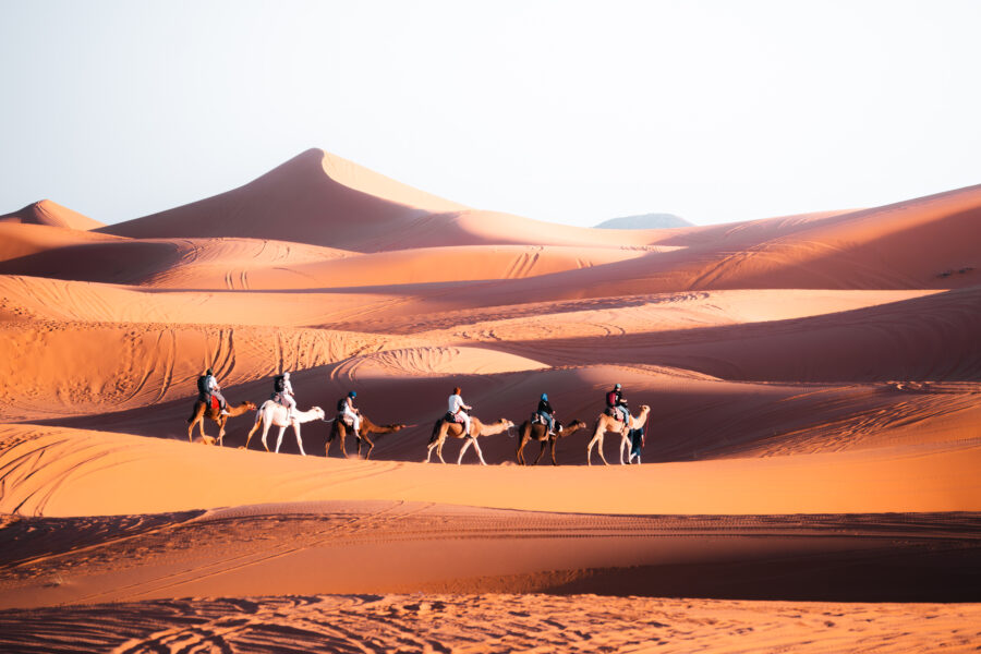 Sahara