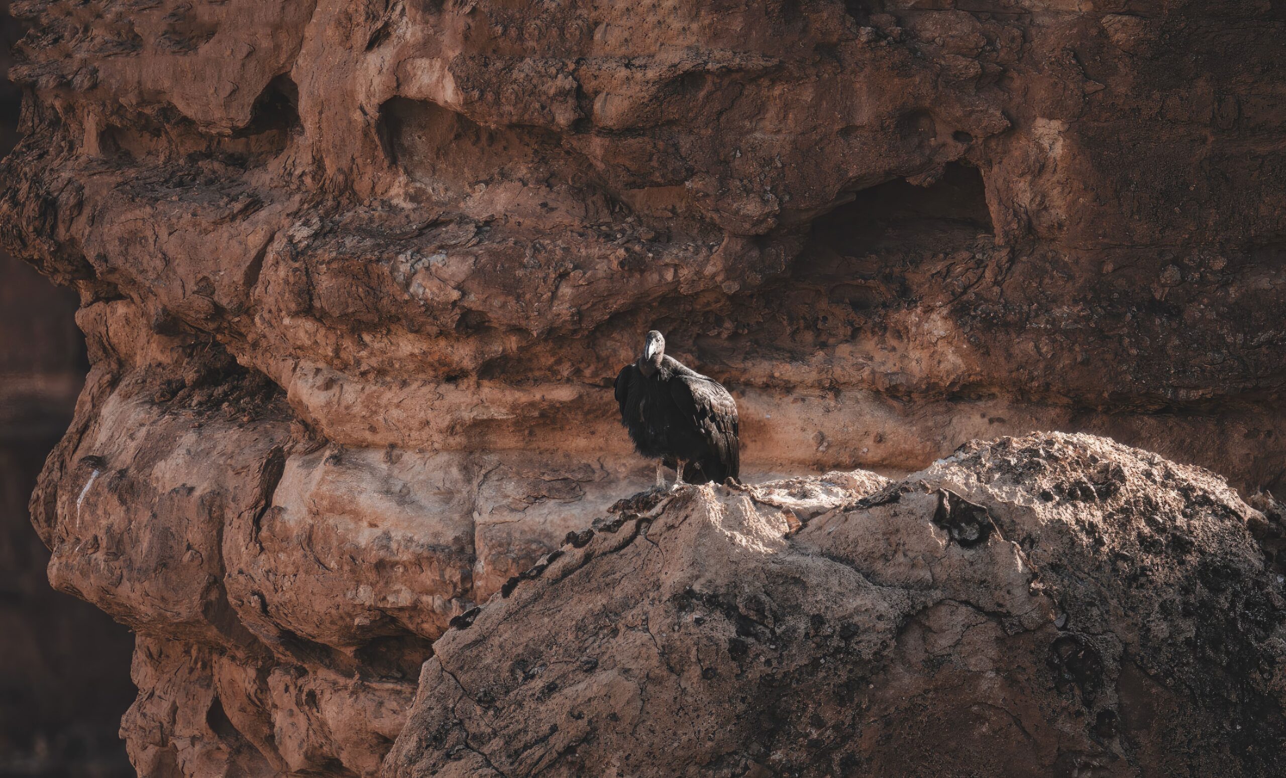 A Journey Through the Majestic Landscapes of Utah