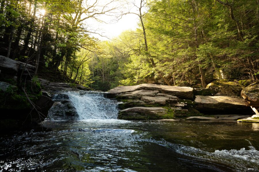 New York County